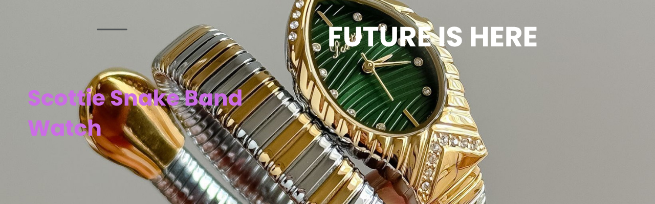 HIGH-END WATCH (2)